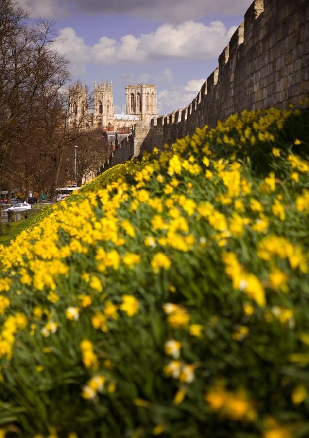 Shambles In The Centre Of York, Sleeps 16 *